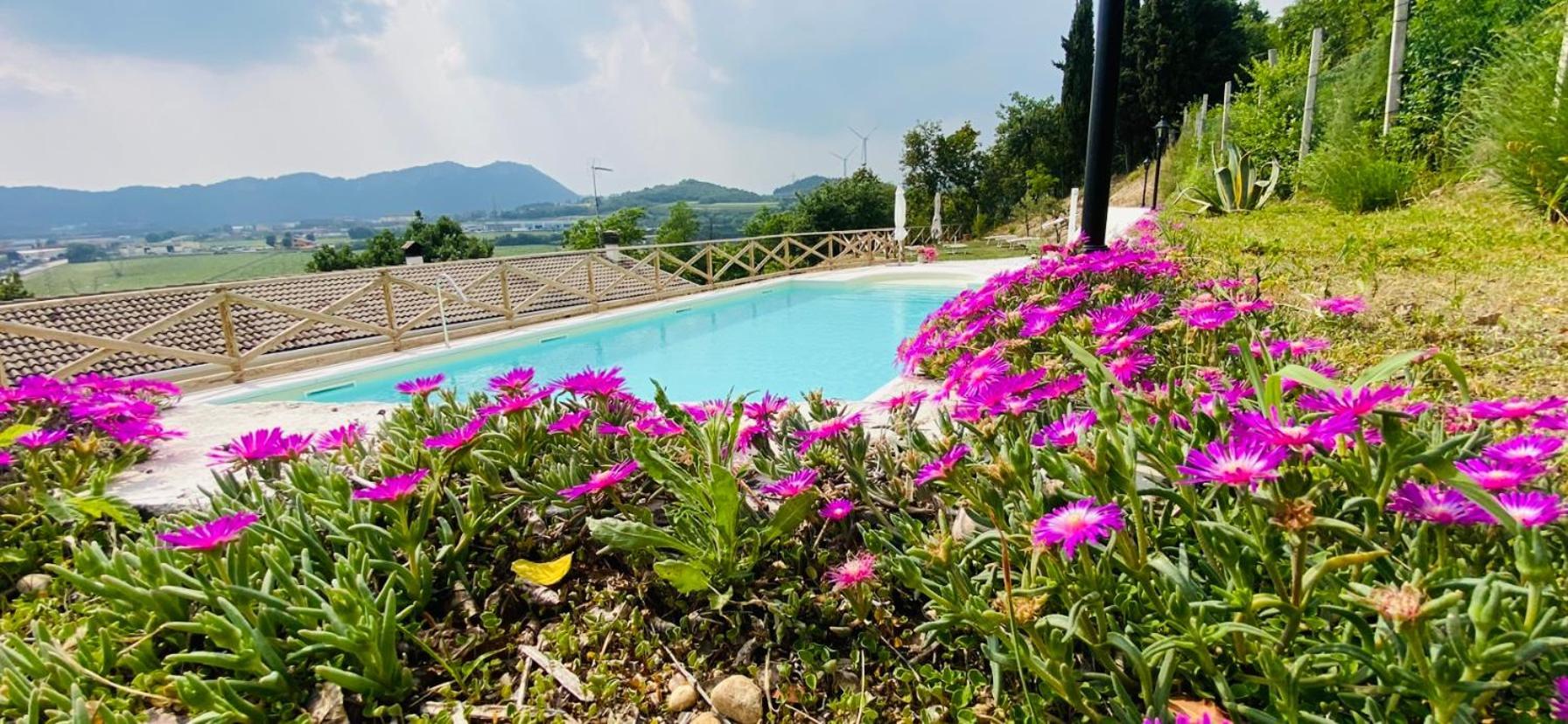 Villa Poggio Ulivo Pool-Apartments Rivoli Veronese Exterior foto